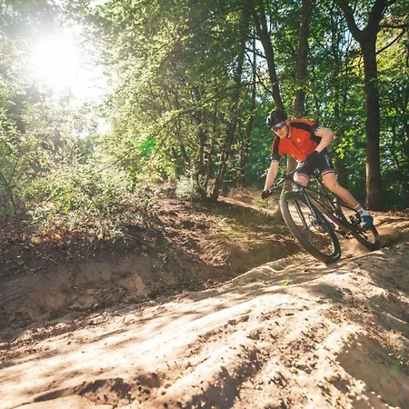 Boslodge 84 * Ворден