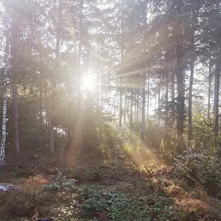 Alpstuga Boslodge 84 *
