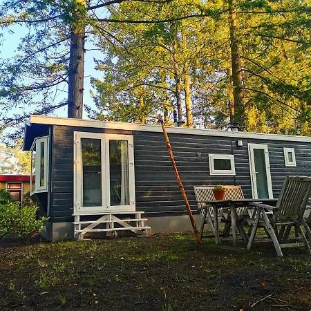 Boslodge 84 보르덴