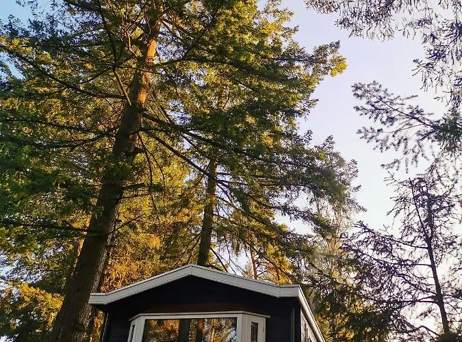 Boslodge 84 Chalet Vorden