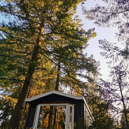 Boslodge 84 Chalet Vorden
