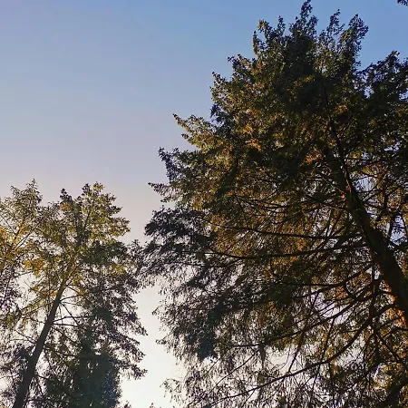 Σαλέ Boslodge 84 *