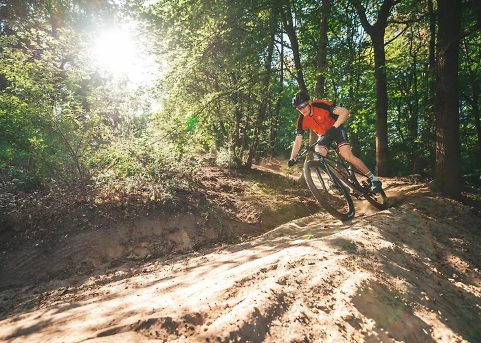 Boslodge 84 * 福尔登