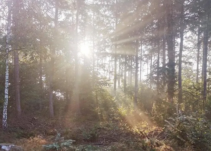 木屋 Boslodge 84 *