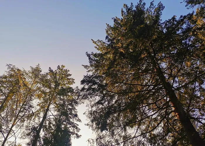 木屋 Boslodge 84 *